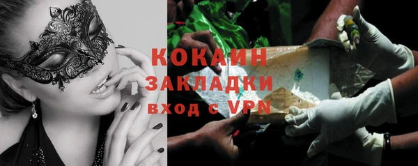 ГАЛЛЮЦИНОГЕННЫЕ ГРИБЫ Арсеньев
