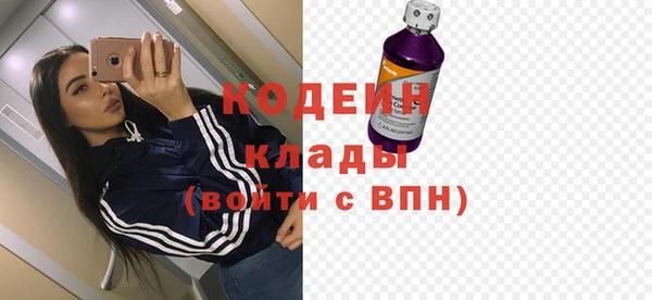 ГАЛЛЮЦИНОГЕННЫЕ ГРИБЫ Арсеньев