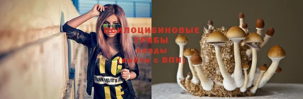 ГАЛЛЮЦИНОГЕННЫЕ ГРИБЫ Арсеньев