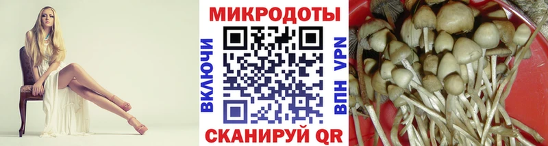 дарк нет как зайти  Волхов  Псилоцибиновые грибы ЛСД 