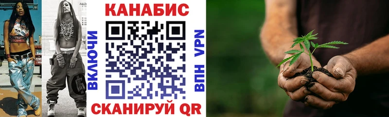 Канабис семена Волхов